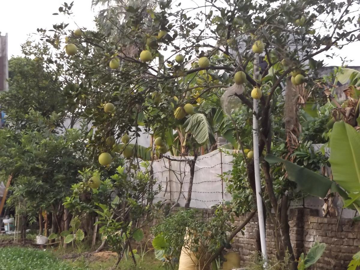 Ninh Binh Riverside Homestay 2 Εξωτερικό φωτογραφία